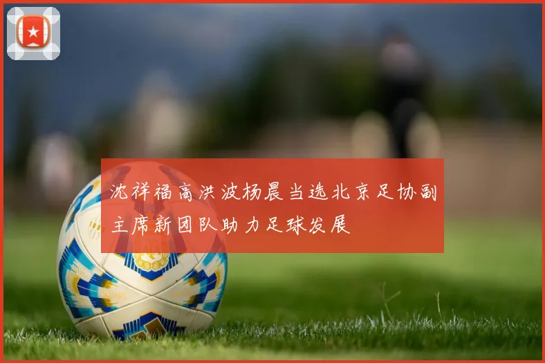 沈祥福高洪波杨晨当选北京足协副主席新团队助力足球发展