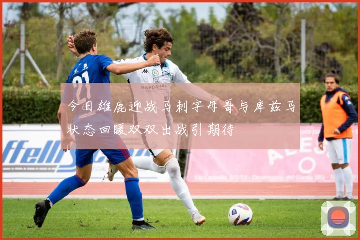 今日雄鹿迎战马刺字母哥与库兹马状态回暖双双出战引期待