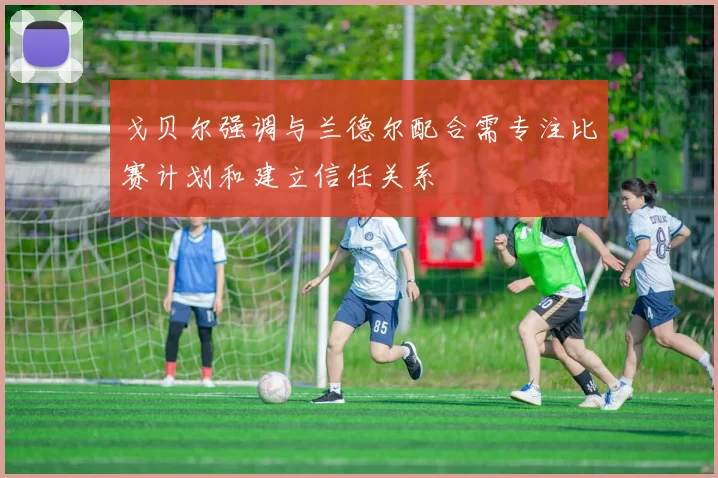 戈贝尔强调与兰德尔配合需专注比赛计划和建立信任关系